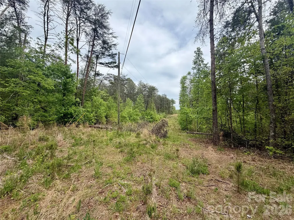 0 Polk County Line Road Rutherfordton NC 28139