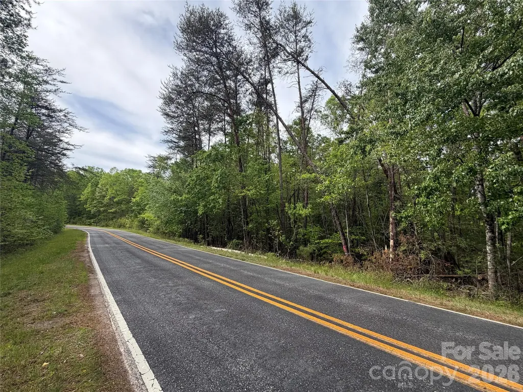 0 Polk County Line Road Rutherfordton NC 28139