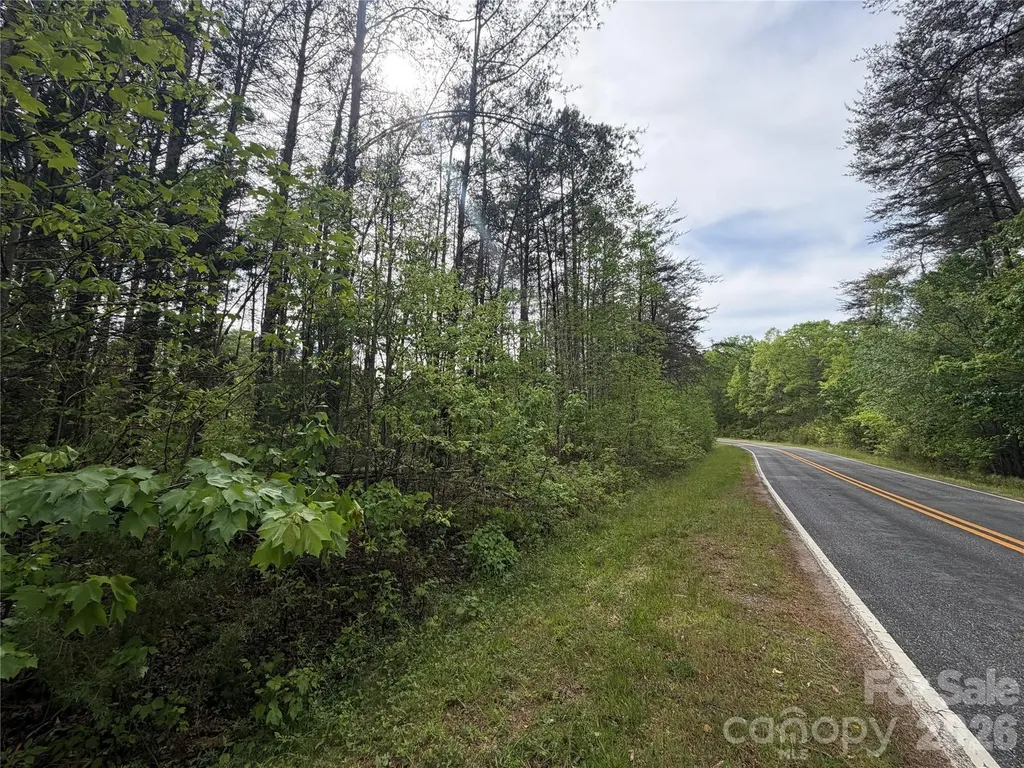 0 Polk County Line Road Rutherfordton NC 28139