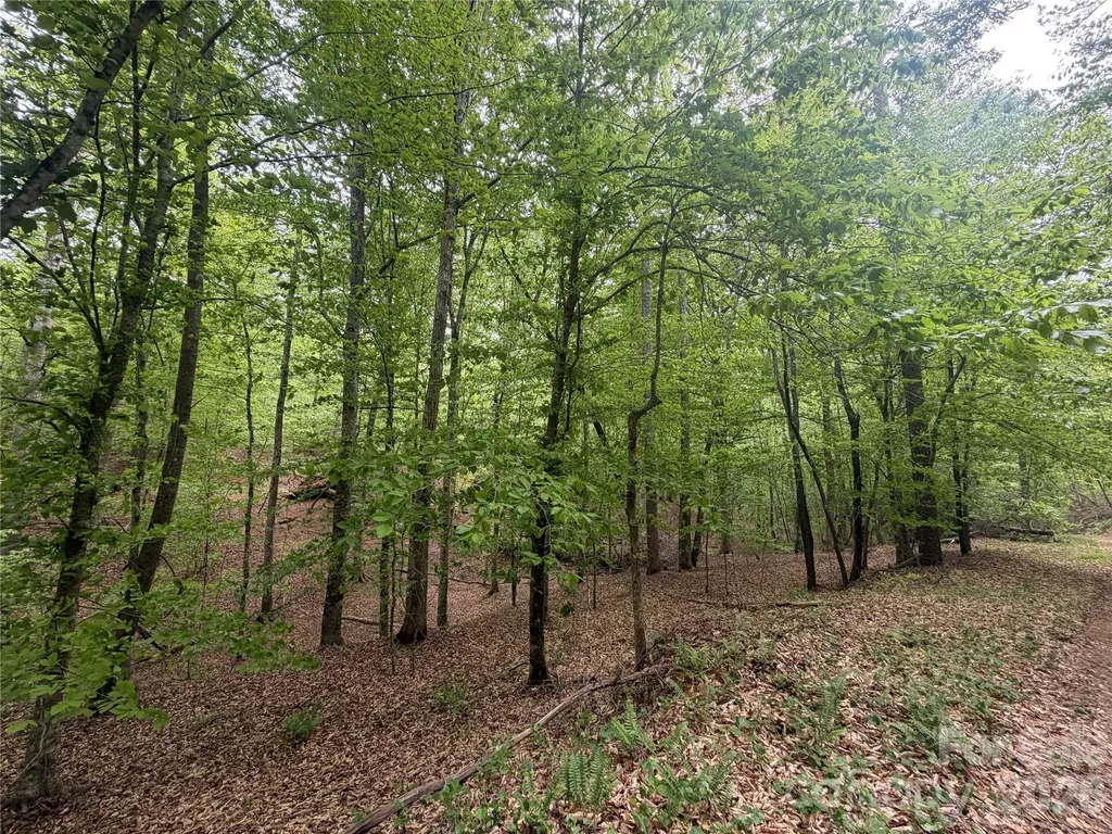 0 Polk County Line Road Rutherfordton NC 28139