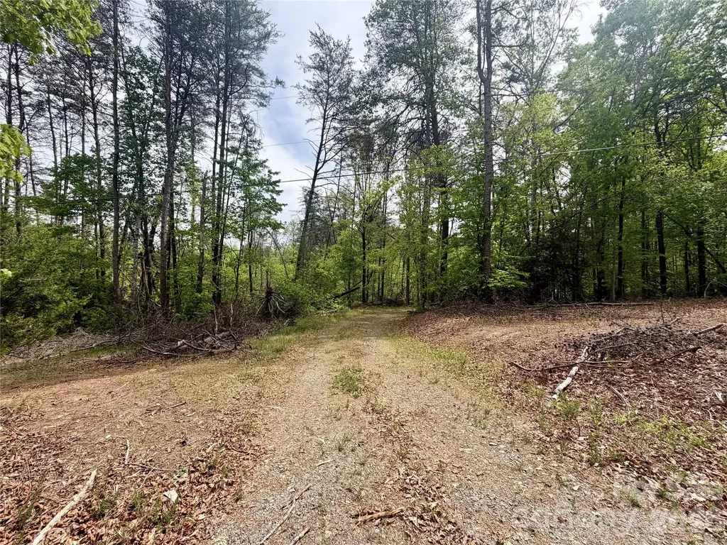 0 Polk County Line Road Rutherfordton NC 28139