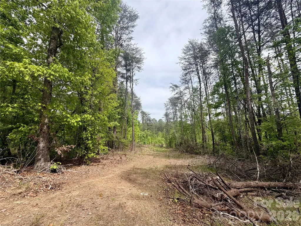 0 Polk County Line Road Rutherfordton NC 28139