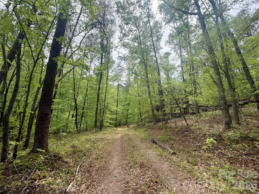 0 Polk County Line Road Rutherfordton NC 28139