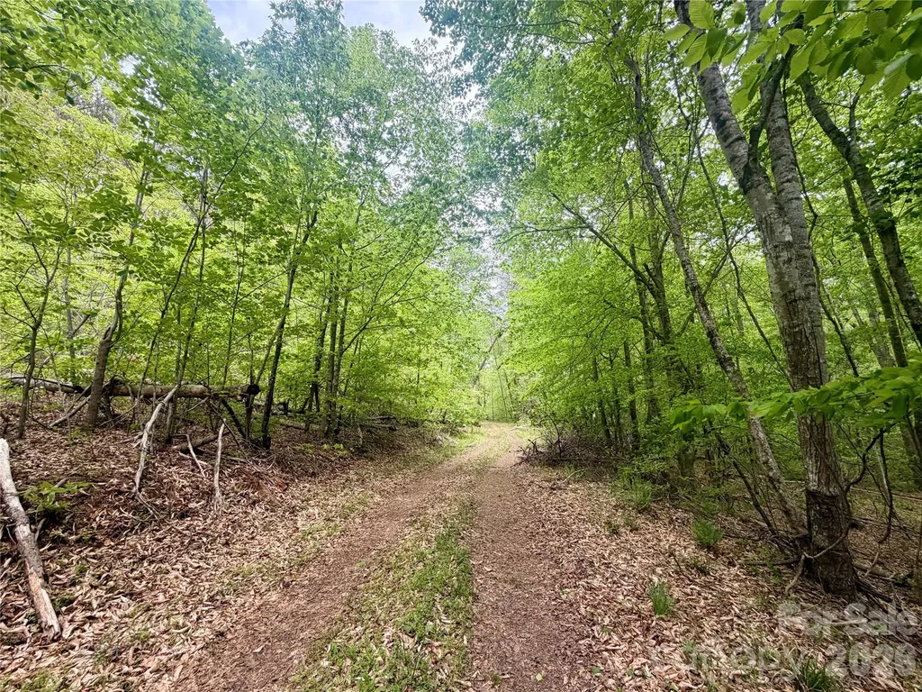 0 Polk County Line Road Rutherfordton NC 28139