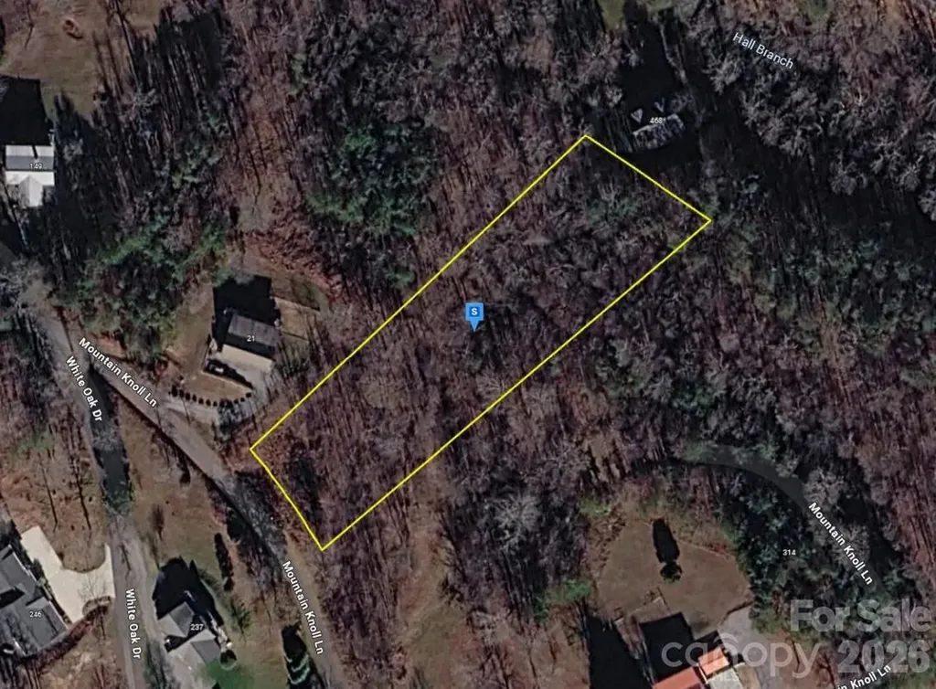 41 Knoll Lane Warne NC 28909