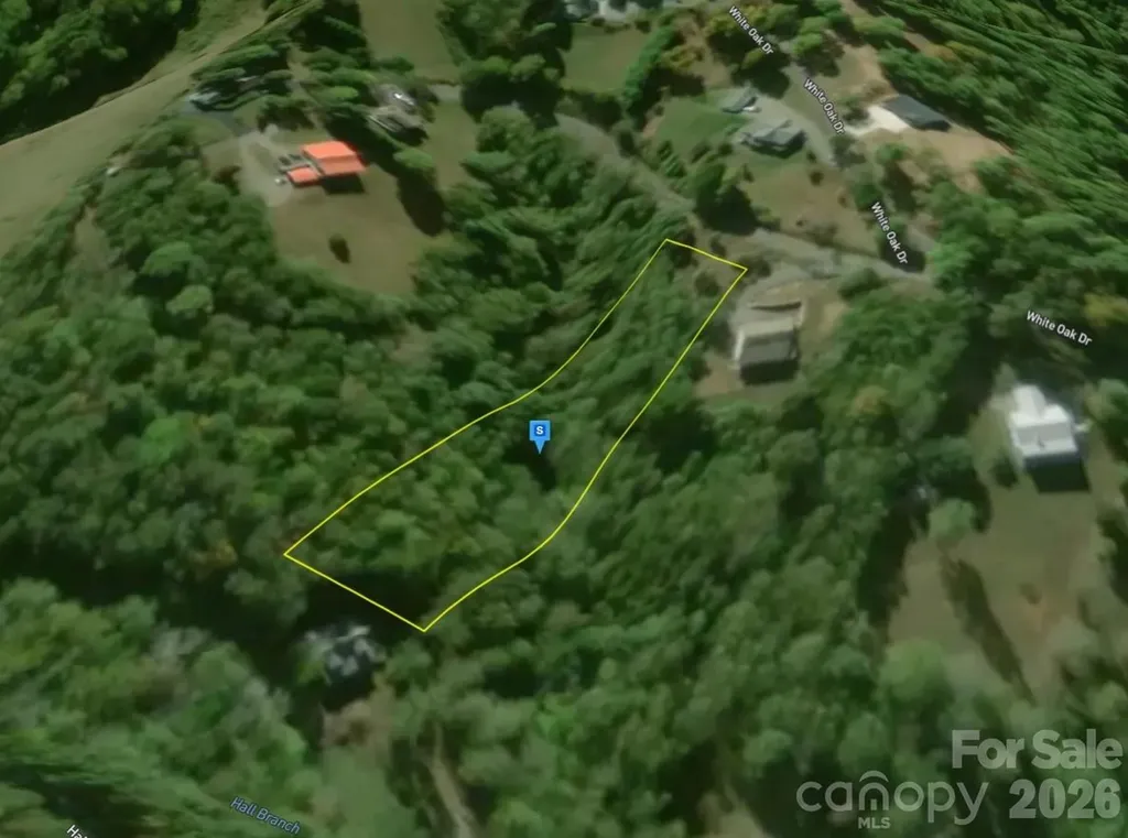 41 Knoll Lane Warne NC 28909