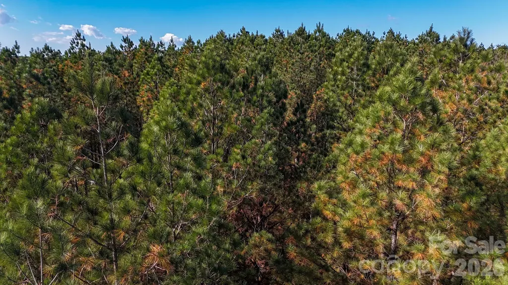 00 Whispering Pines Lane Mooresboro NC 28114