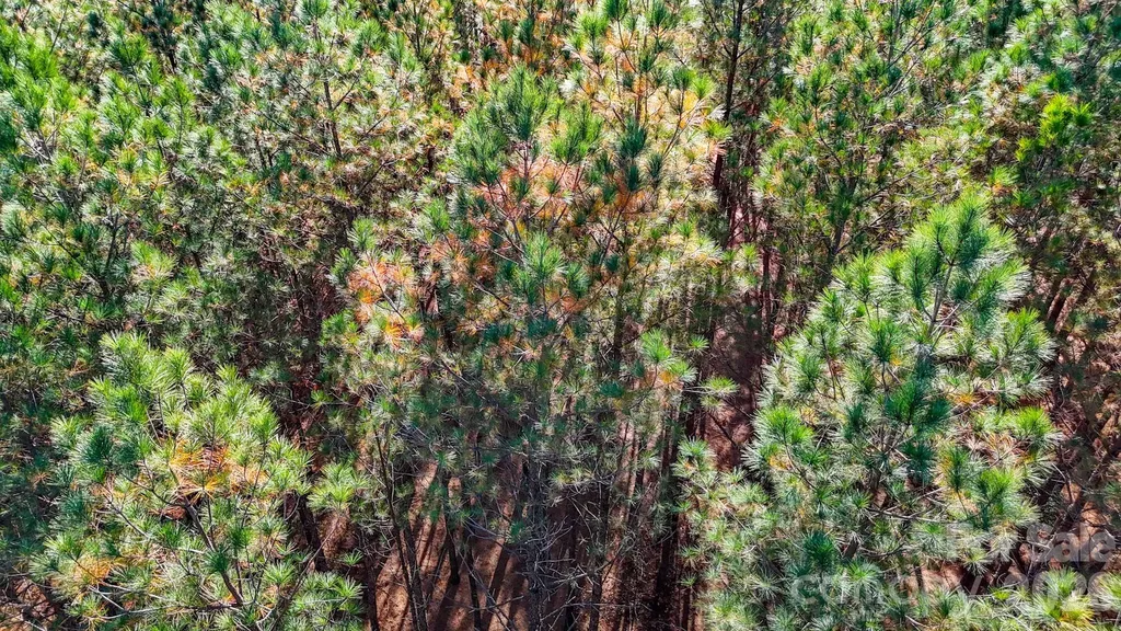 00 Whispering Pines Lane Mooresboro NC 28114