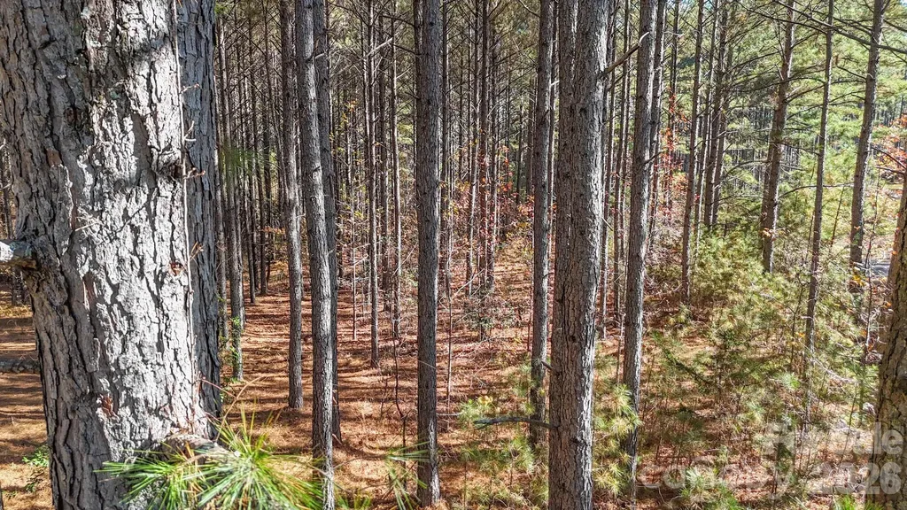 00 Whispering Pines Lane Mooresboro NC 28114