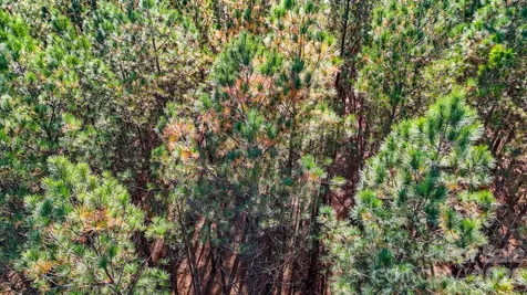00 Whispering Pines Lane Mooresboro NC 28114