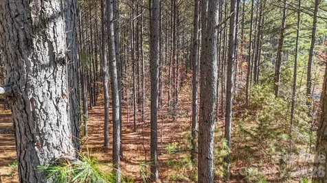 00 Whispering Pines Lane Mooresboro NC 28114