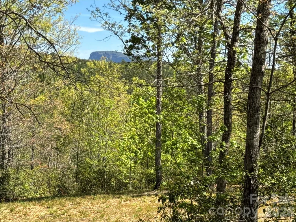 284 Bear Cliff Circle Nebo NC 28761