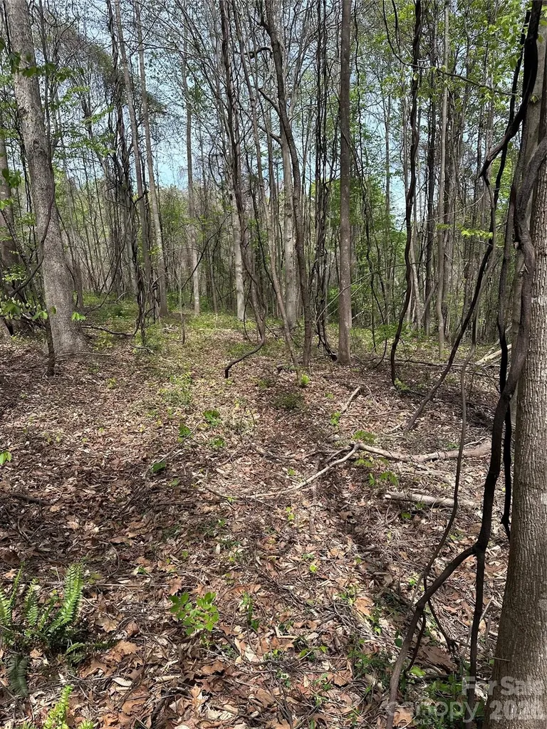 0 Will Boone Road Mocksville NC 27028