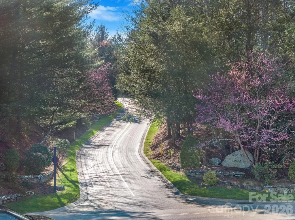 116 May Fly Lane Horse Shoe NC 28742