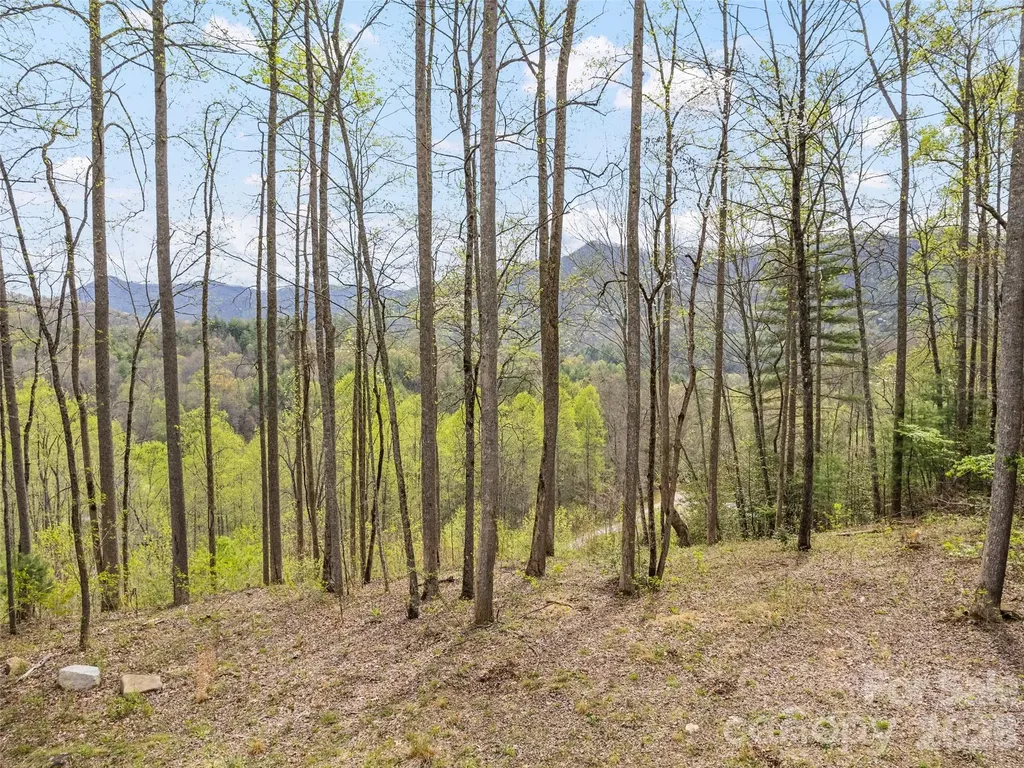 00 Willow Lane Robbinsville NC 28711
