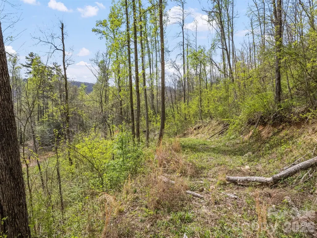 00 Willow Lane Robbinsville NC 28711