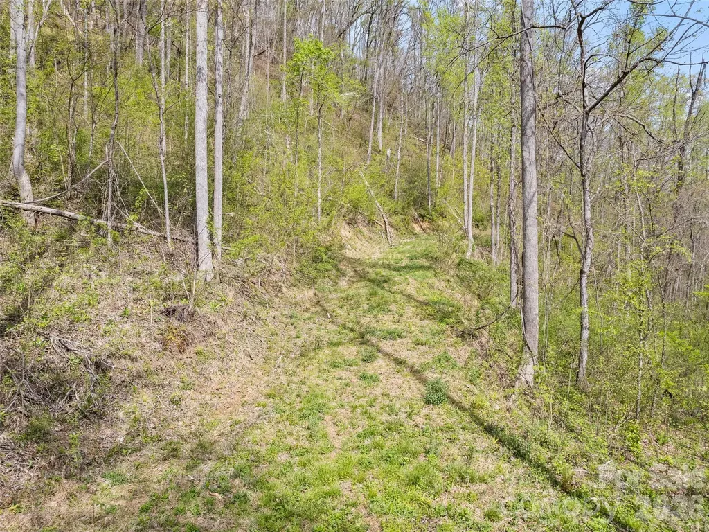 00 Willow Lane Robbinsville NC 28711