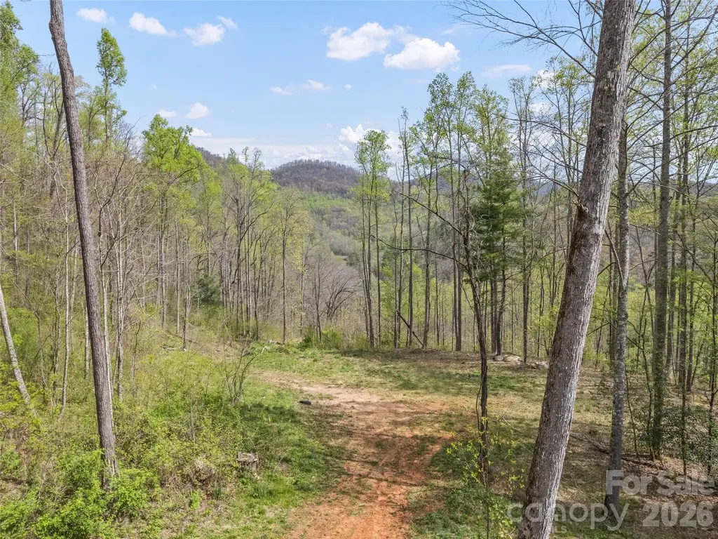 00 Willow Lane Robbinsville NC 28711