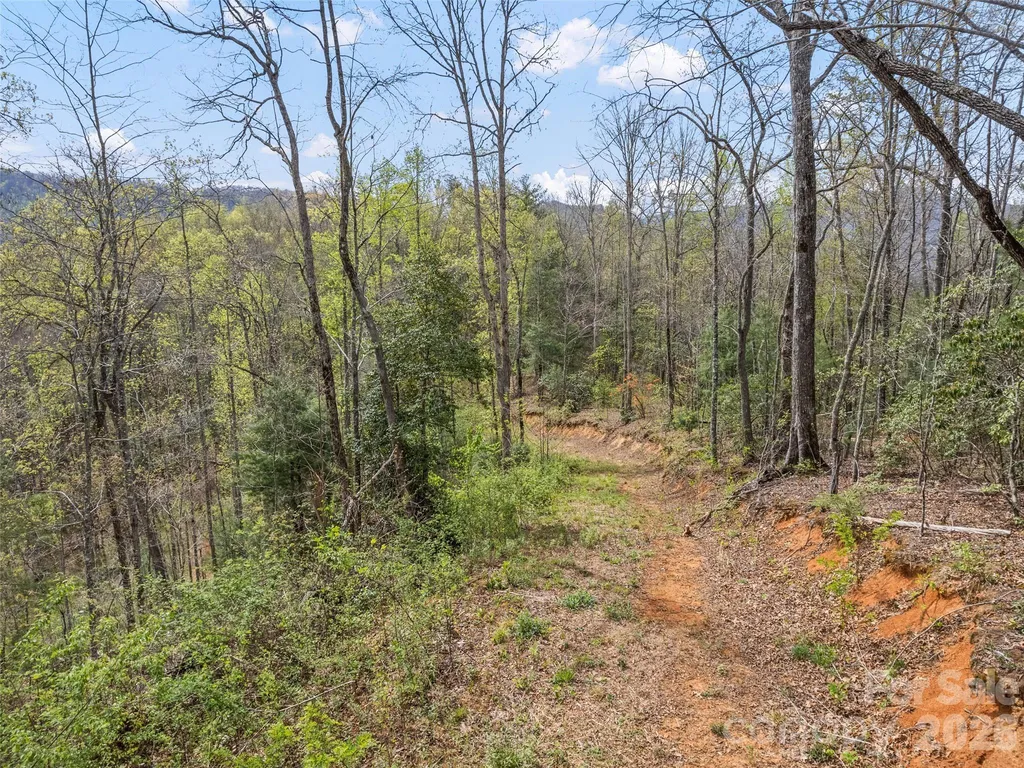 00 Willow Lane Robbinsville NC 28771