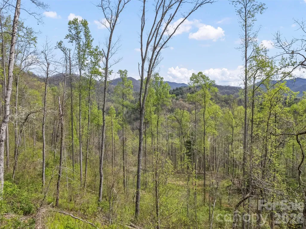 00 Willow Lane Robbinsville NC 28711