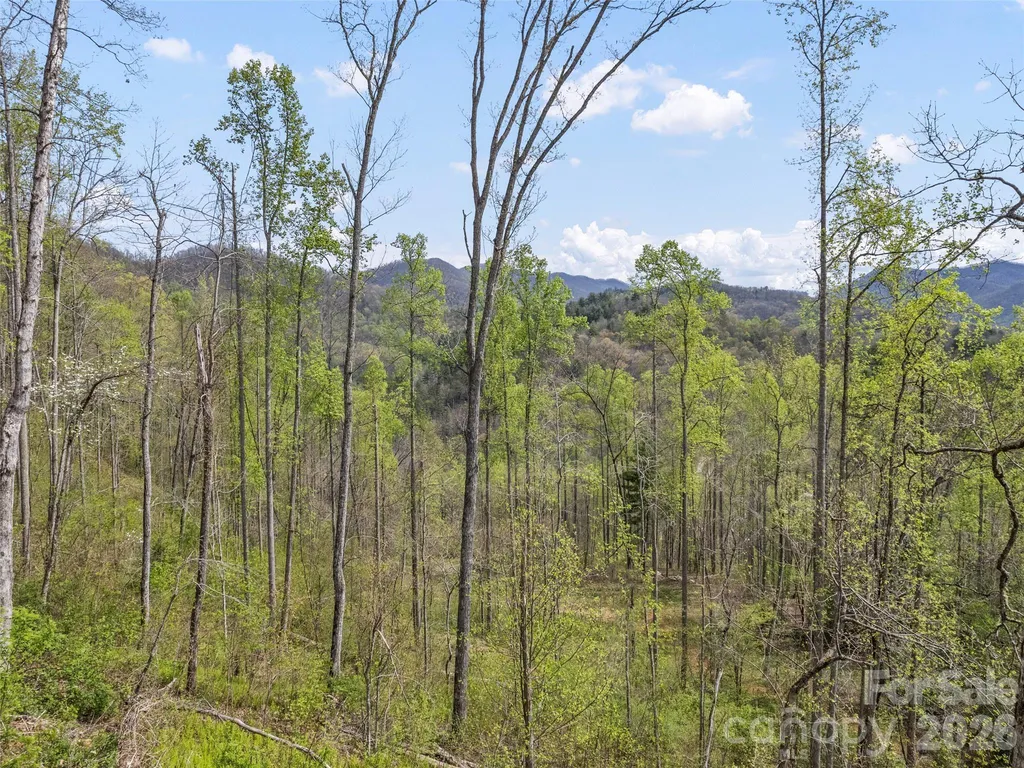 00 Willow Lane Robbinsville NC 28771