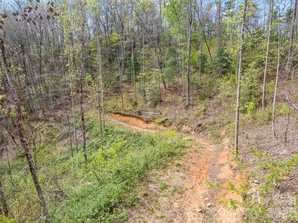 00 Willow Lane Robbinsville NC 28771