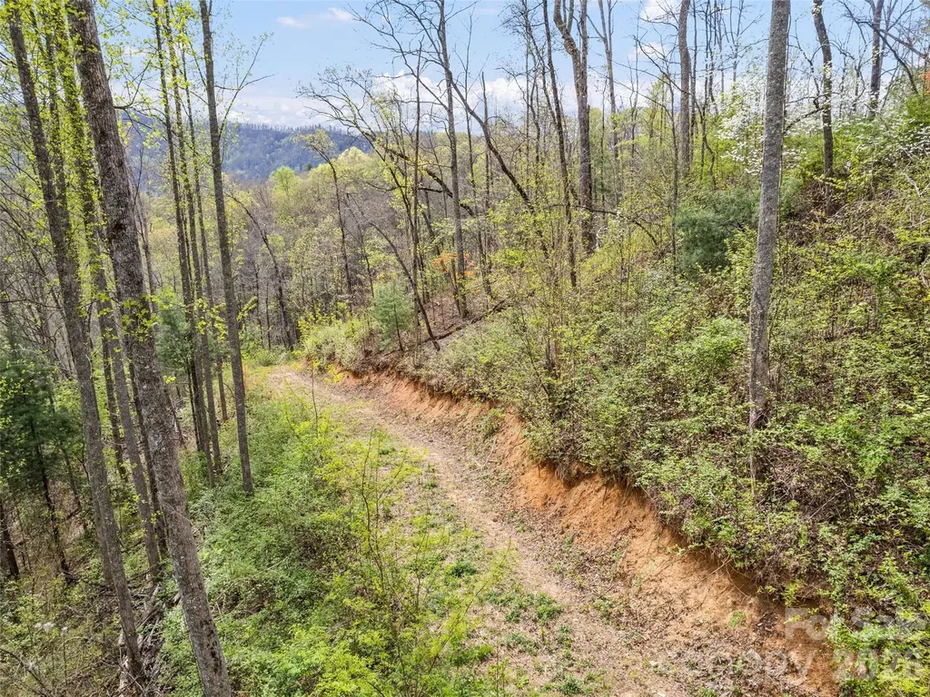 00 Willow Lane Robbinsville NC 28711