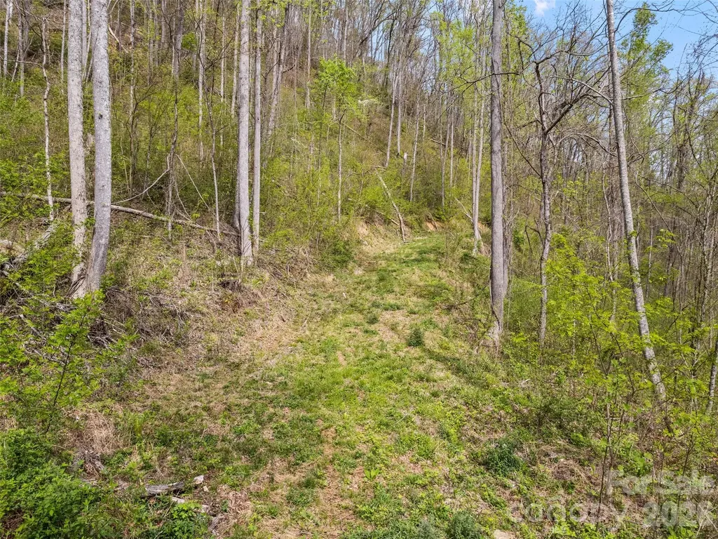 00 Willow Lane Robbinsville NC 28711