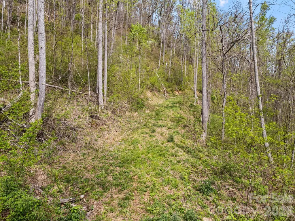 00 Willow Lane Robbinsville NC 28771