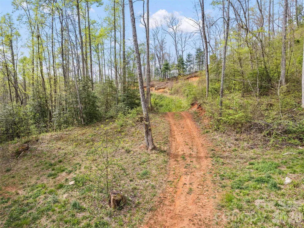 00 Willow Lane Robbinsville NC 28771