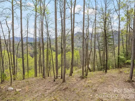 00 Willow Lane Robbinsville NC 28771