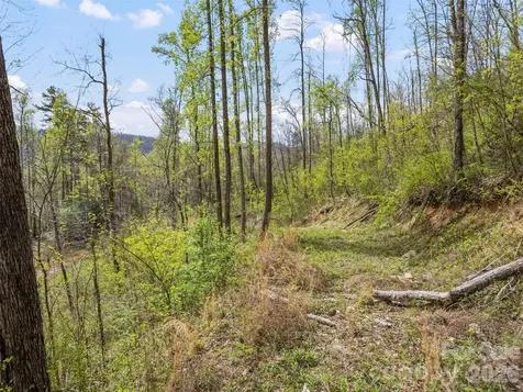 00 Willow Lane Robbinsville NC 28771