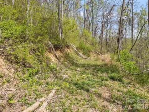 00 Willow Lane Robbinsville NC 28771
