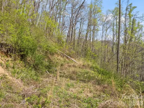 00 Willow Lane Robbinsville NC 28771