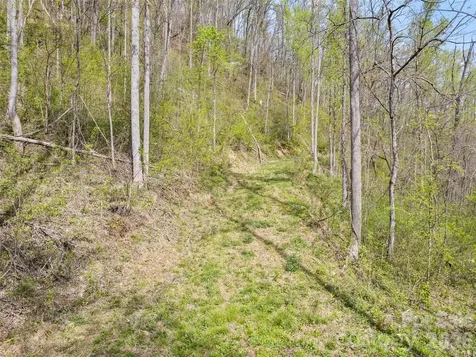 00 Willow Lane Robbinsville NC 28771
