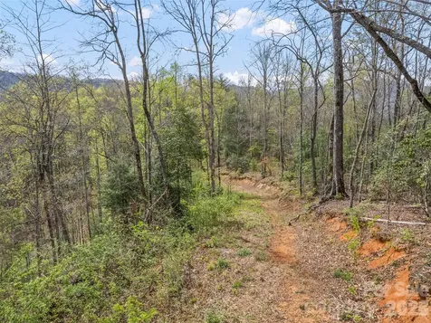 00 Willow Lane Robbinsville NC 28771
