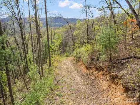 00 Willow Lane Robbinsville NC 28771