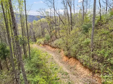 00 Willow Lane Robbinsville NC 28771