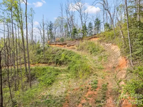00 Willow Lane Robbinsville NC 28771