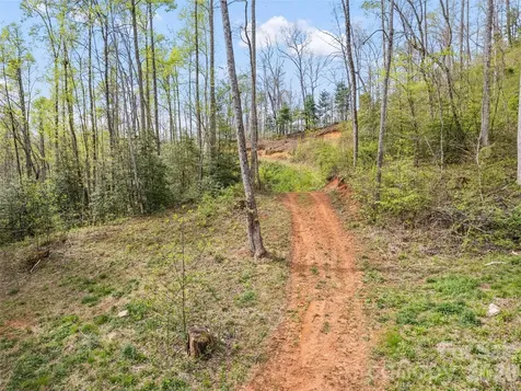 00 Willow Lane Robbinsville NC 28771