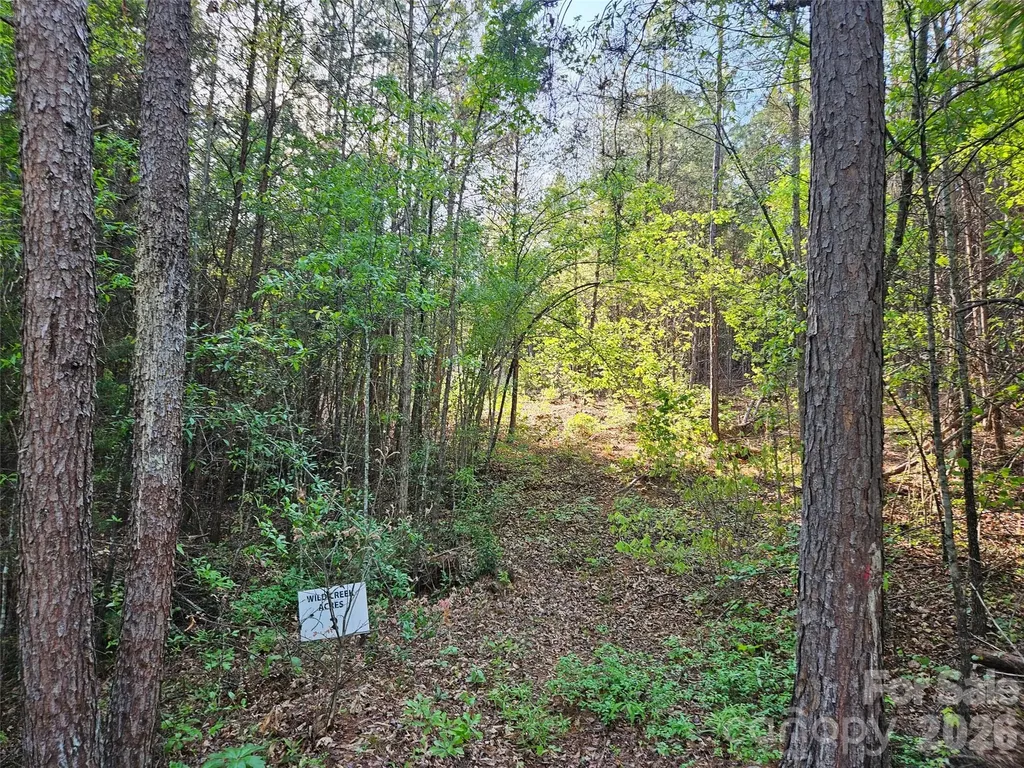 0 Old Hollis Road Ellenboro NC 28040