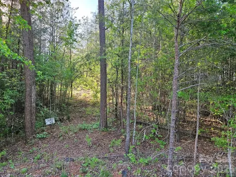 0 Old Hollis Road Ellenboro NC 28040