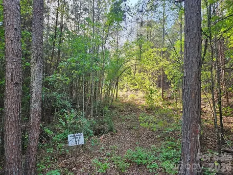 0 Old Hollis Road Ellenboro NC 28040