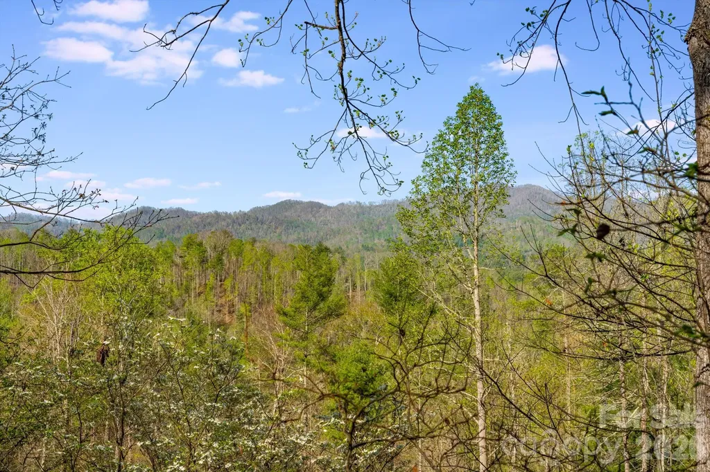 770 Echo Hill Drive Green Mountain NC 28704
