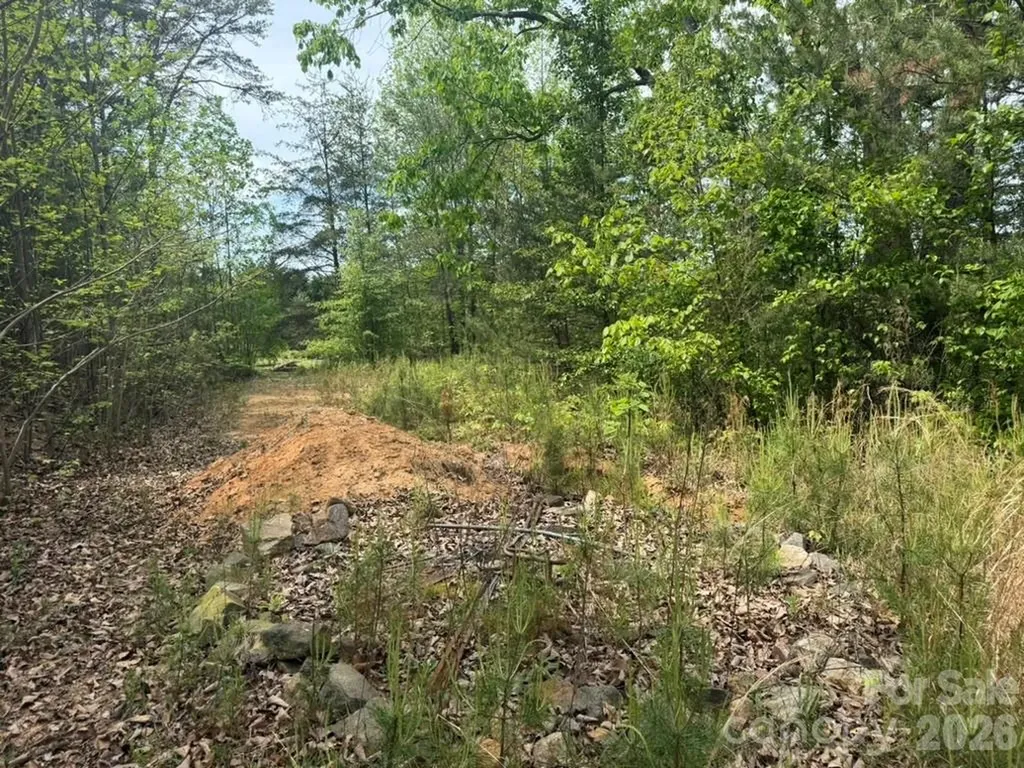 5920 Overland Drive Connelly Springs NC 28612