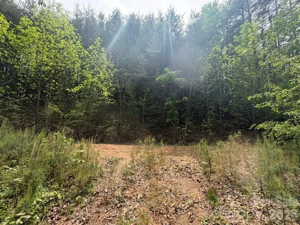 5920 Overland Drive Connelly Springs NC 28612