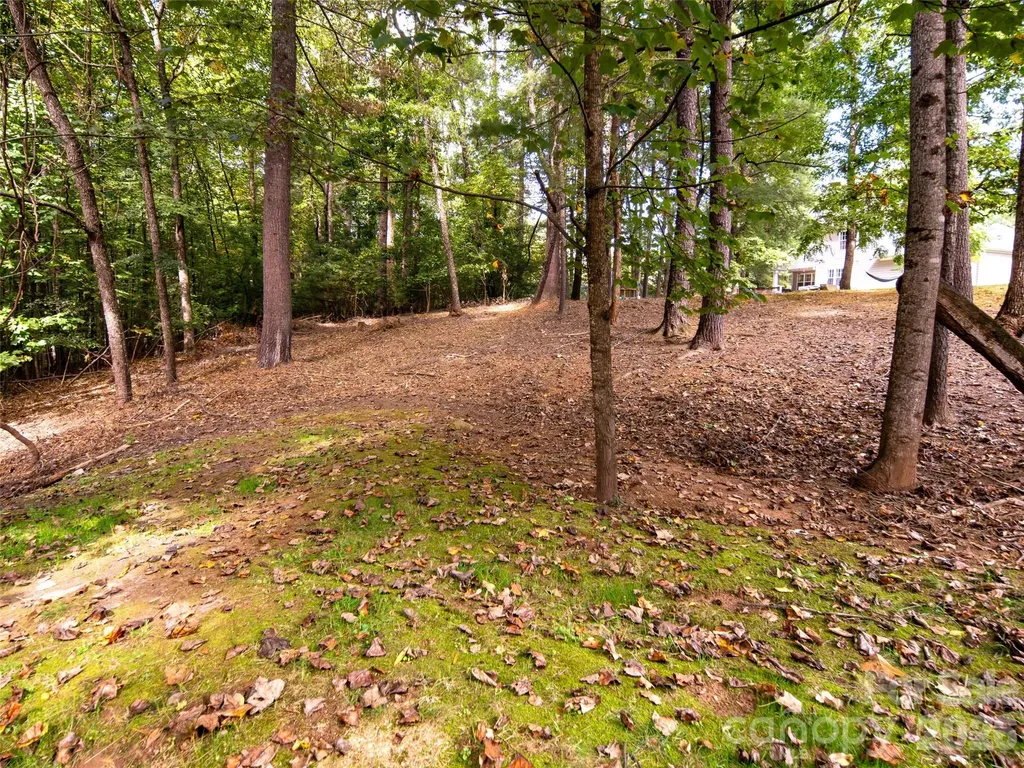 588 Welsh Partridge Circle Biltmore Lake NC 28715