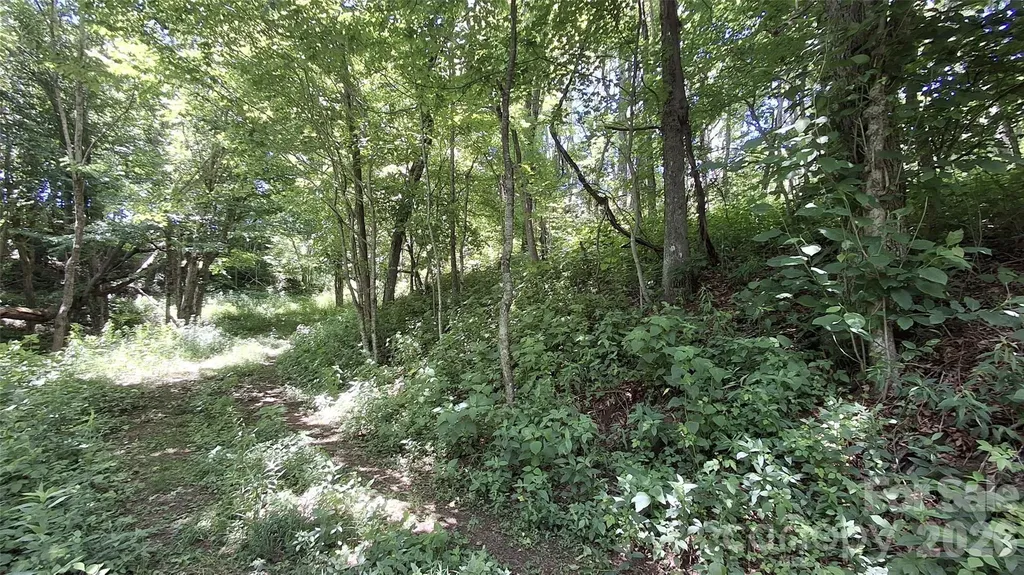 00 Big Ridge Road Glenville NC 28736