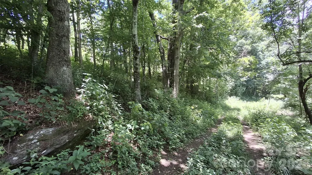 00 Big Ridge Road Glenville NC 28736