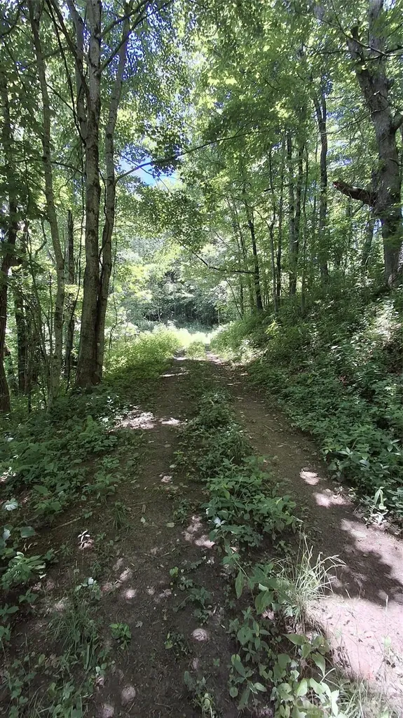 00 Big Ridge Road Glenville NC 28736